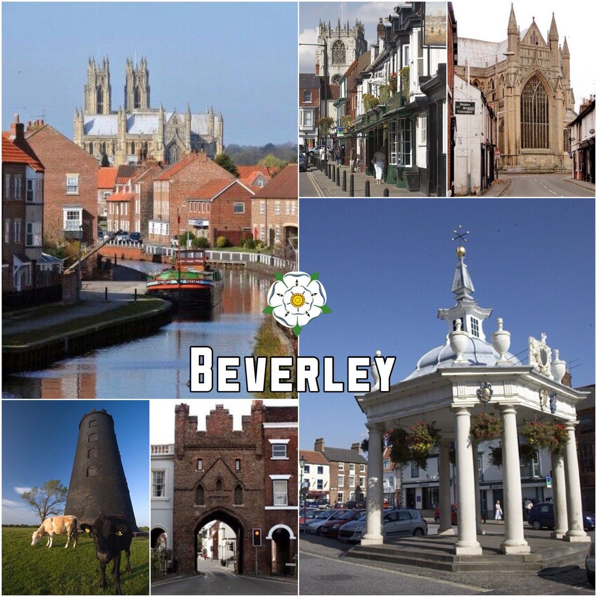 Mani Isna La #IndigenousLivesMatter 🇨🇺🇵🇸🇬🇱 tweet media