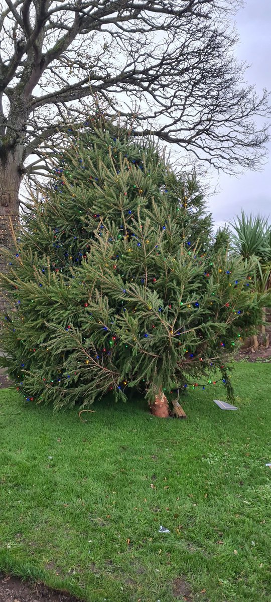 Light up Heswall tweet media