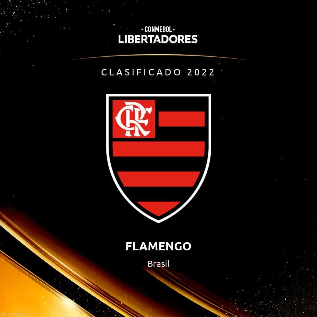 BlackInSport's tweet photo. Outros brasileiros  confirmados na #Libertadores2022 🇧🇷⚽️🏆
#galo #atleticoparanaense #Palmeiras #Flamengo https://t.co/9Ik3amtLoe
