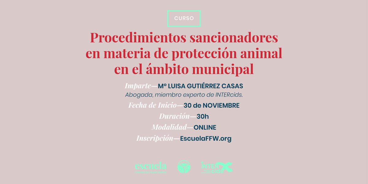 AMPLIAMOS PLAZO DE MATRÍCULA

¡Vuestros deseos son órdenes!👩‍🏫

Tras varias solicitudes, hemos decidido ampliar el plazo de inscripción hasta el 2 de Diciembre. 

No pierdas esta oportunidad y preinscríbete: escuelaffw.org/courses/proced…