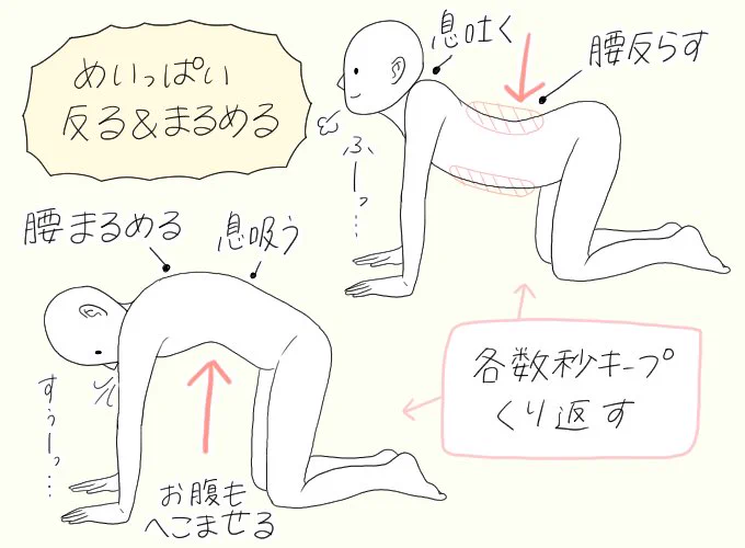 【腰痛持ち・ギックリ腰防止のストレッチ】(1/2)

https://t.co/TLaFmglia0 