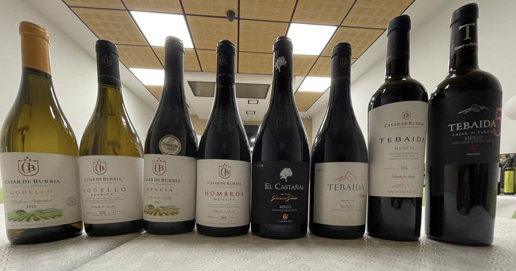 BarquinAbascal's tweet photo. Toda la magia del #Bierzo y de sus viñedos centenarios… @casardeburbia ¡Nuevas Marcas #Redamar en Cantabria! ¡Encontrando siempre lo mejor para nuestra hostelería! #CalidadRedamar💚 #Bierzo #HosteleríaCantabria #Godello #Mencía https://t.co/jJetaUh753