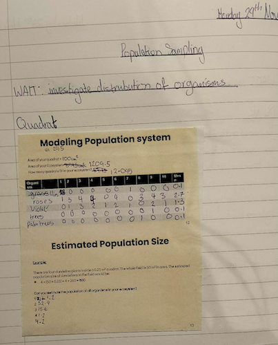 Science | Repton Abu Dhabi tweet media