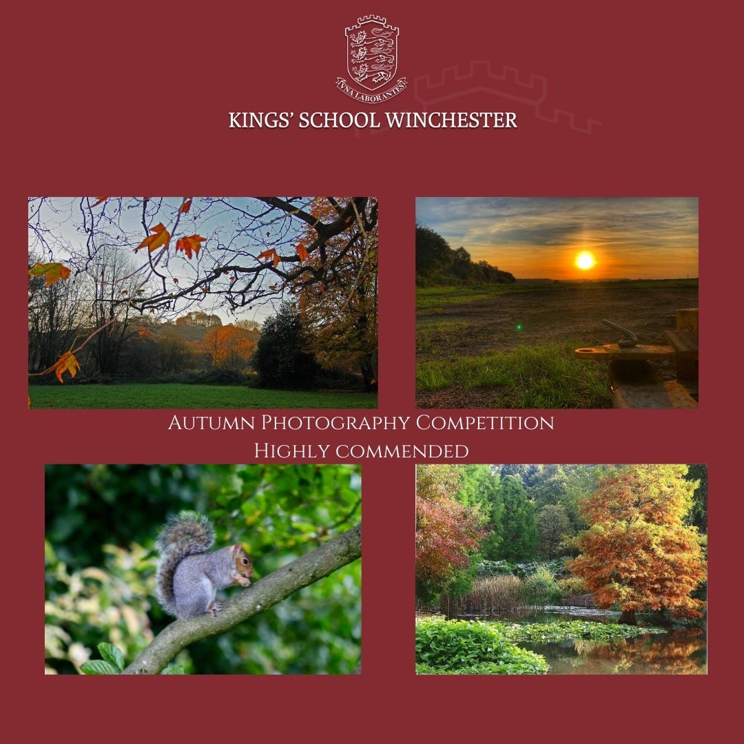 school_kings's tweet photo. A selection of photographs by pupils who earned a Highly Commended certificate in the Autumn Photography Competition. #UnaLaborantes #WorkinTogether https://t.co/xqXjbkvYCe