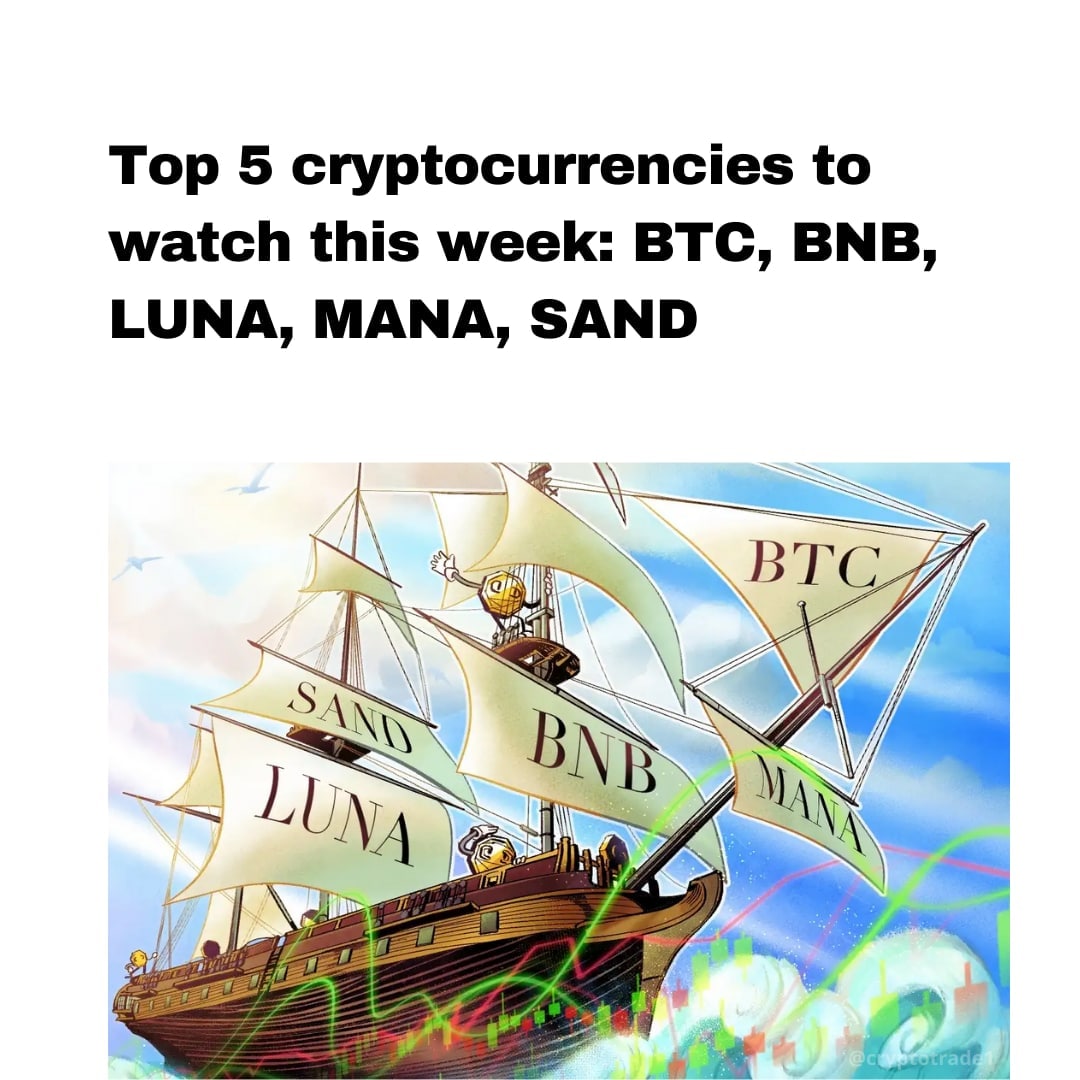 RajoraDevansh's tweet image. Top 5 Crypto currencies to watch this week👇
» BTC will see on new high🔥
» This week will see bullish move in the market🔥
#buythedip #shibainu #ShibainuCoin #ShibaArmy #KISHU #BabyDoge #BabyDogeCoin #SAFEMOON #FegArmy #fegtoken #TheMemeKiller #BTG #BitGoo #BTGO #pitbulltoken