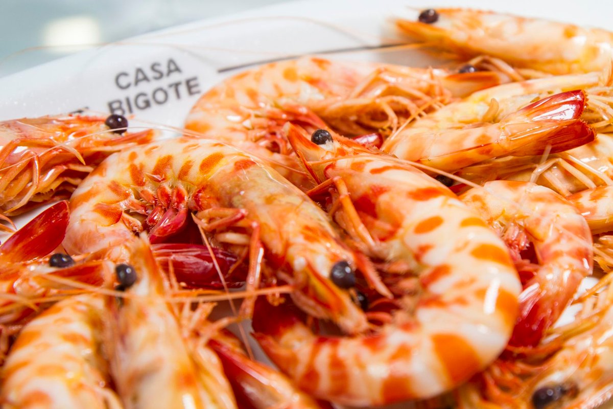 bigdatabp's tweet image. 🥇 Enhorabuena, #Sanlúcar lo ha conseguido. Ha sido elegida #CapitalEspañolaGastronomica 2022.
🦐Un día grande para la ciudad de la #manzanilla, los #langostinos, las #papas y demás productos locales.
más ➡bigdatabp.com/blog
 El mejor #Software para la industria pesquera.