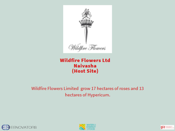 Eenovators's tweet photo. Wildfire Flowers Limited located in Naivasha, deals in the growing of flowers. Richard Ojunga was attached to the farm during the #ESCO4Efficiency project.
@OjungaR 
@WE4FGCD https://t.co/lab3mAmRUv