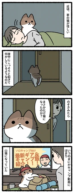 山猫 