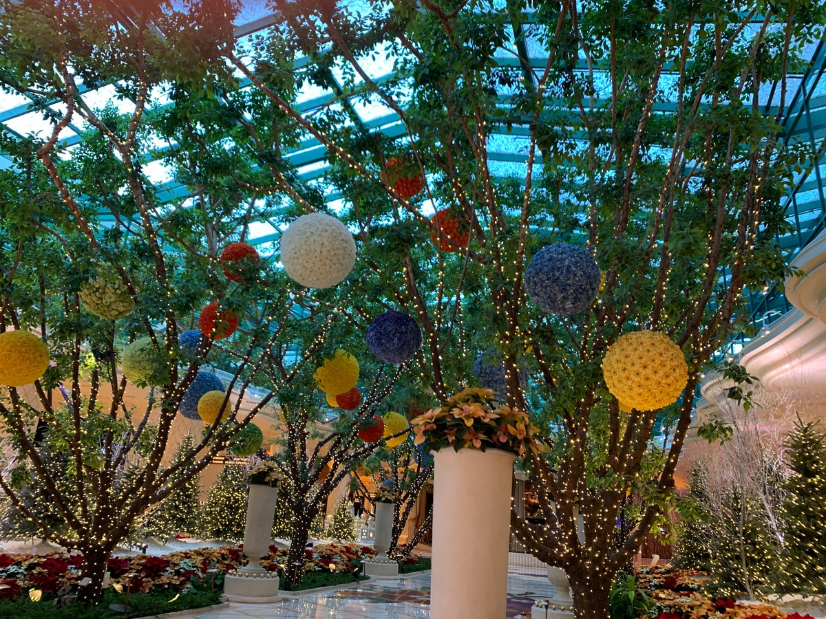 Good morning, #reInvent! Jet lag had me up early to beat the registration crowds and see the <a href="/WynnLasVegas/">Wynn Las Vegas</a> Christmas decorations. #AmazonConnect