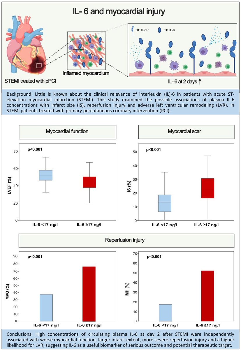 HanCardiomd's tweet photo. Association of plasma IL-6 with infarct size, reperfusion injury, and adverse remodelling after STEMI

High concentrations of circulating plasma IL-6 on Day 2 after #STEMI were independently associated with worse myocardial function 
#Biomarkers https://t.co/jqWYQadUkW @escardio https://t.co/bFZO6o87Q4