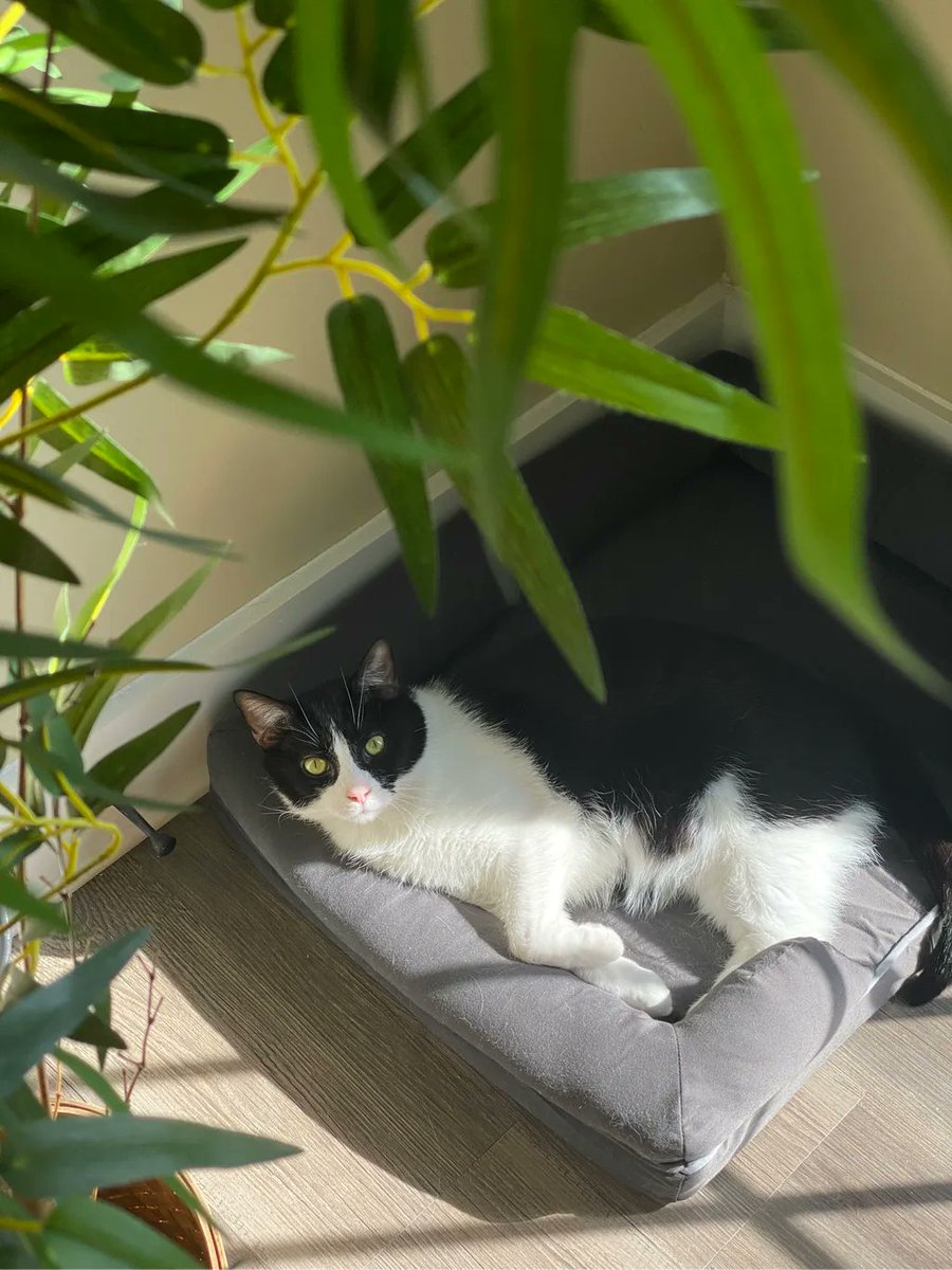 Cody Bryant tweet media