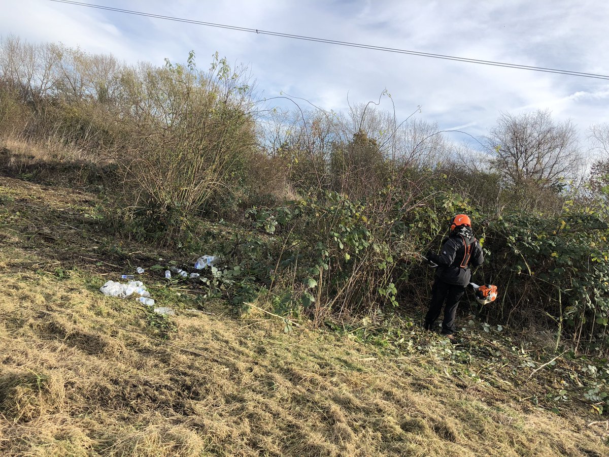 lhyde2017's tweet photo. #TeamTask #TottenhamMarshes @LeeValleyPark cutting back the bramble round Gorse, meadow cut & rake & litter pick #ParkPostive shrew put safely into habitat pile + a curious fox ๐ฆโบ๏ธ๐ https://t.co/VGnSa2ncUH