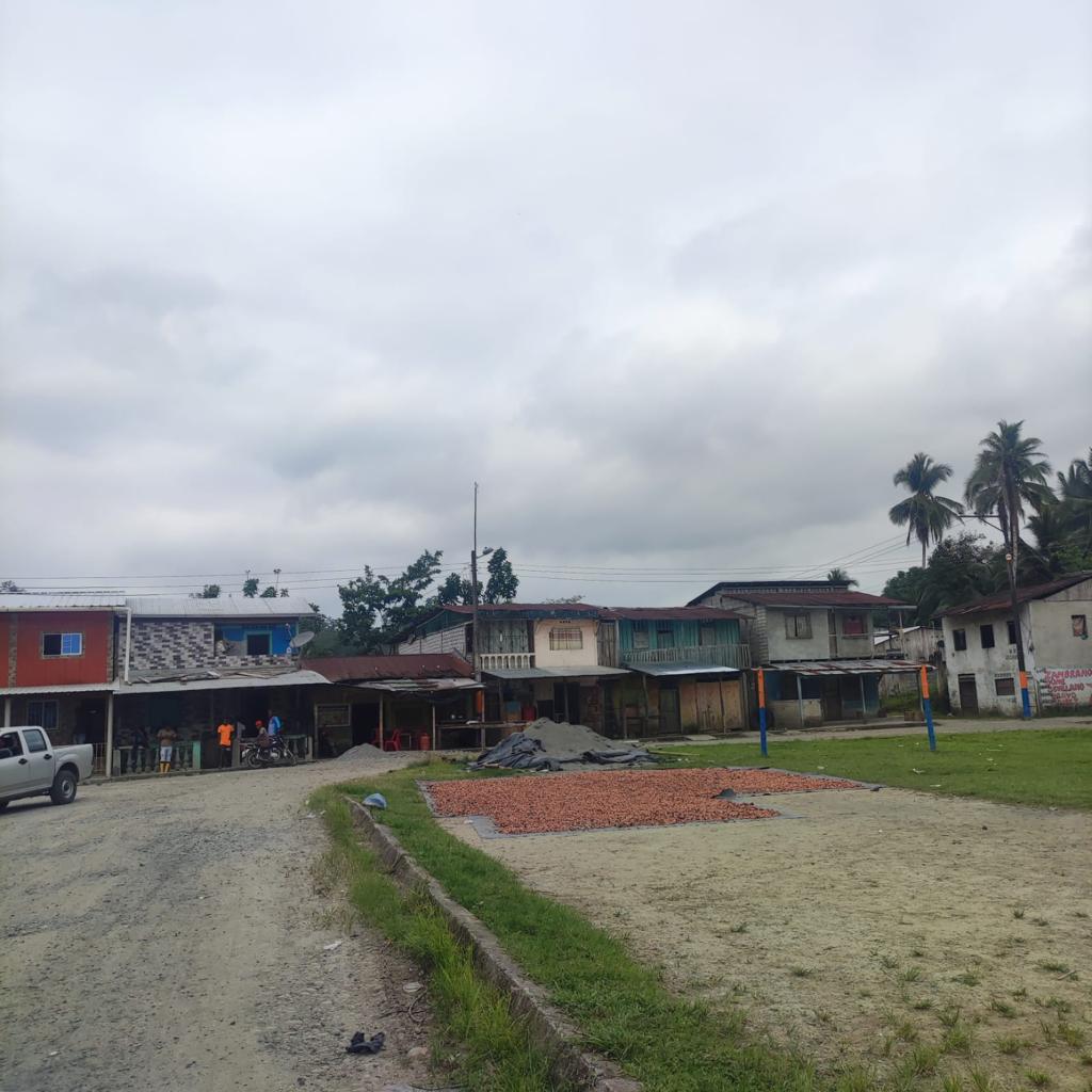 CNTinforma's tweet photo. BUENAS NOTICIAS l ¡Más cobertura en nuevos territorios! Ahora la provincia verde, Esmeraldas, cuenta con más conectividad. Instalamos red de internet móvil y voz en la parroquia Anchayacu para beneficio de sus ciudadanos. #JuntoLoLogramos https://t.co/3mFKbD3eth