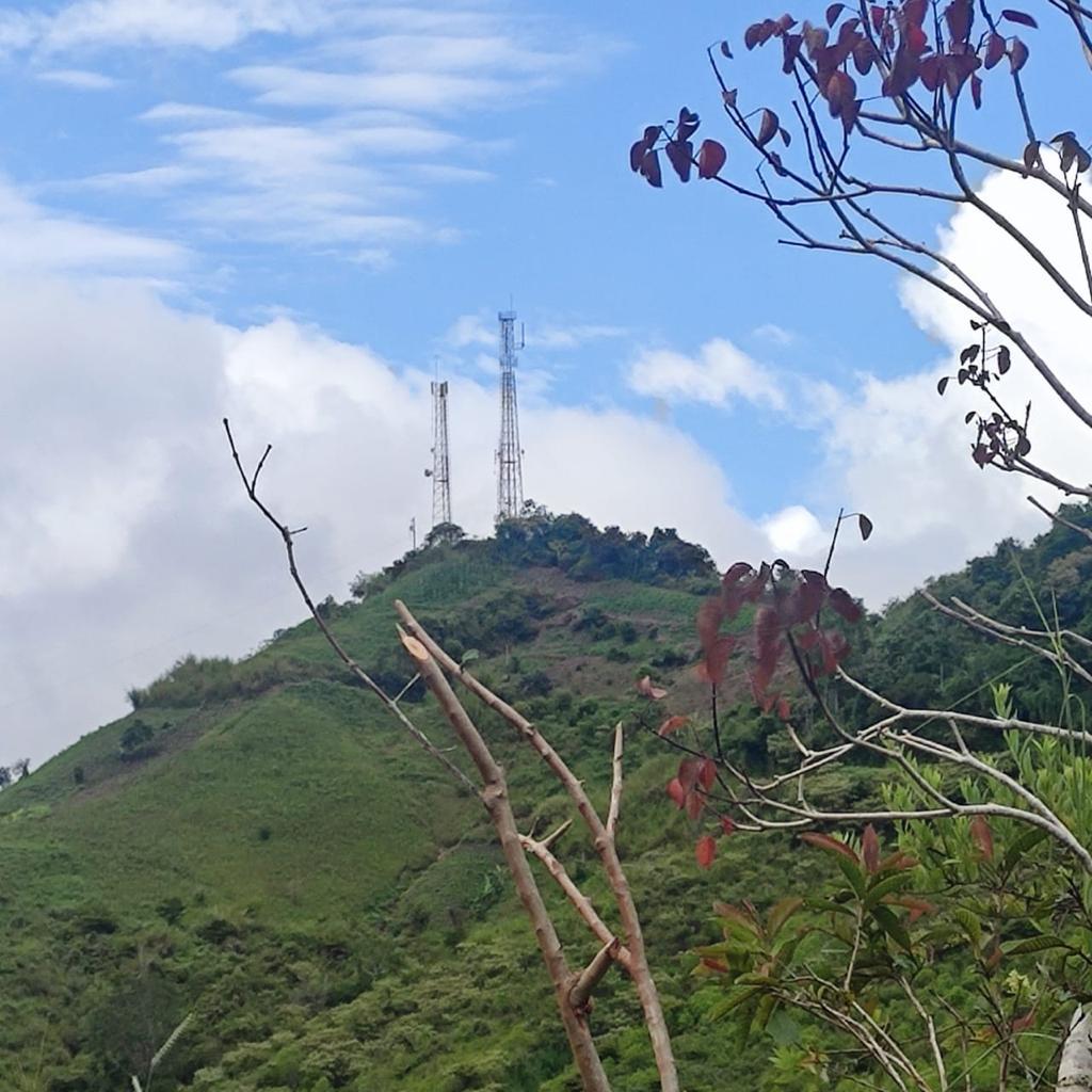 CNTinforma's tweet photo. BUENAS NOTICIAS l Desplegamos conectividad por todo el país ahora arribamos a la parroquia Carolina (Imbabura) con red móvil para internet y llamadas. ¡Nuestro compromiso es impulsar el desarrollo del país. #JuntoLoLogramos https://t.co/6Vvs5hxqcJ