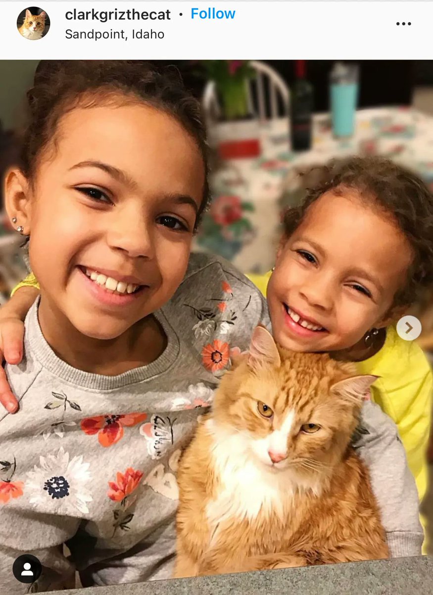 ClarkGrizTheCat's tweet photo. Ellie (on left) thank you for letting me snooze in your bed when you’re not around 😹 (swipe right) … oh btw happy birthday! 🥳🎉 #CatsOnTwitter #CatsOfTwitter #catheaven https://t.co/SfMqb5mP6Q