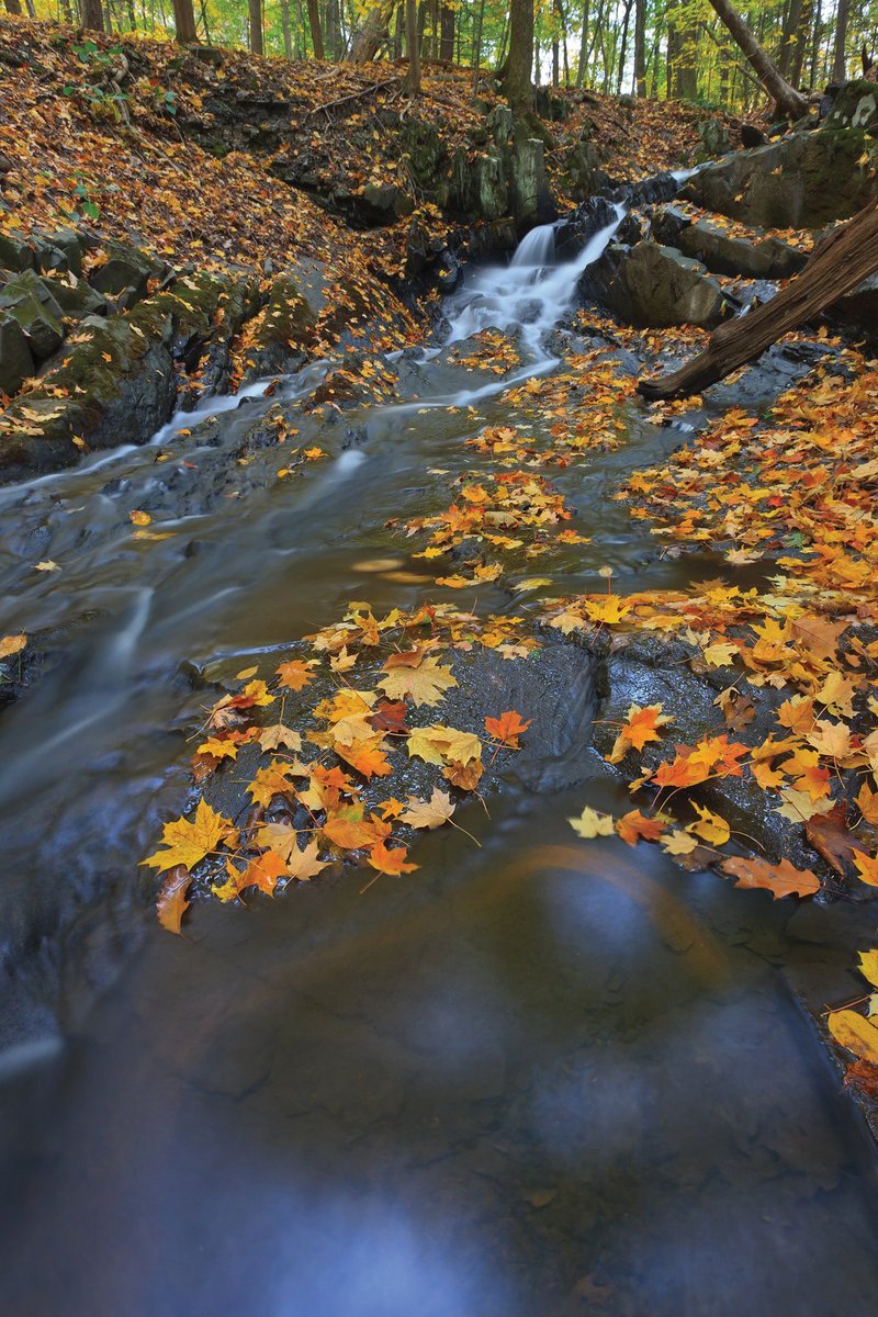 scenichudson's tweet photo. #OurParks: Falling Waters Preserve —
The perfect nature oasis after a chaotic few days. #FallingWaters' scenic treasures include picturesque waterfalls + rock ledges that slant precipitously into the river.
https://t.co/CbMQwoclhO
📷: Robert Rodriguez, Jr. / @robrodriguezjr https://t.co/QtMxqPiC8j