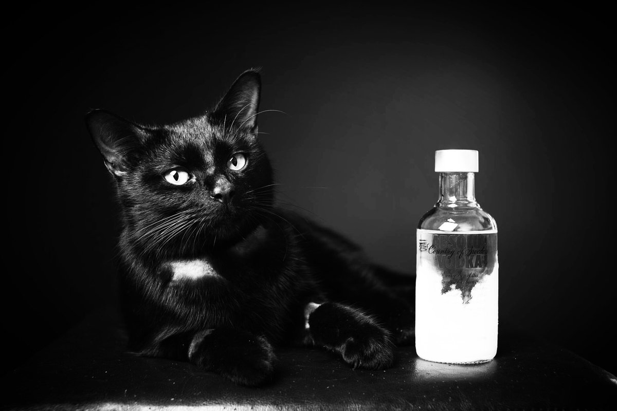 – To wódka? – słabym głosem zapytał Twitter.
– Na litość boską, czy ośmieliłbym się nalać wam wódki? To czysty spirytus...