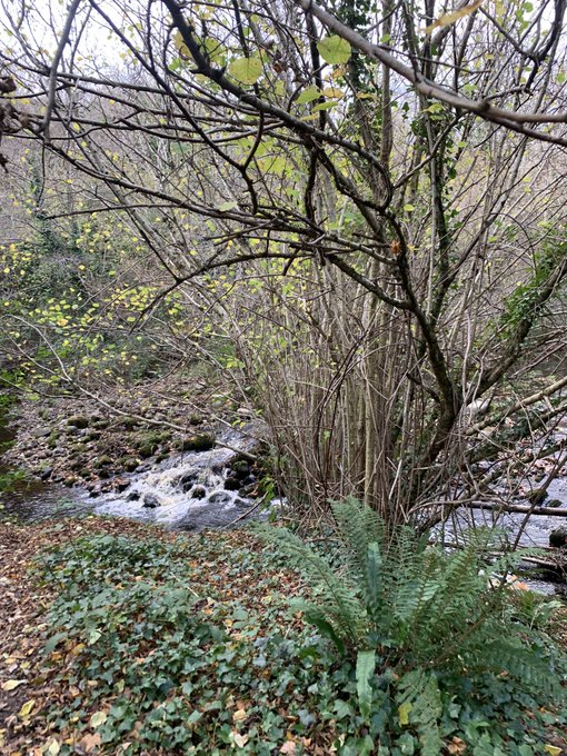 Dublin Tour day 4/4!!📸✨✨📸 What a Tour!!!  Had a lovely shoot with WPPhotography before checking out of<a href="/tag/model"class="tags"><span>#model</span></a><a href="/tag/cute"class="tags"><span>#cute</span></a><a href="/tag/sweet"class="tags"><span>#sweet</span></a><a href="/tag/redhead"class="tags"><span>#redhead</span></a><a href="/tag/ginger"class="tags"><span>#ginger</span></a>