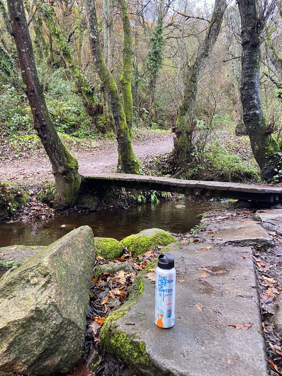 David Santos tweet media