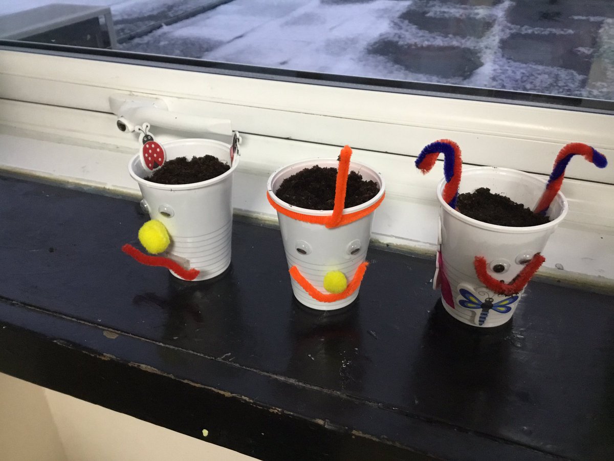 LeysFarm's tweet photo. Gardening club have been really busy today making Grass Heads! We are really looking forward to seeing them grow and making funny hairstyles! #gardening #LFJSoutdoorlearning https://t.co/rx6Zxxymg3