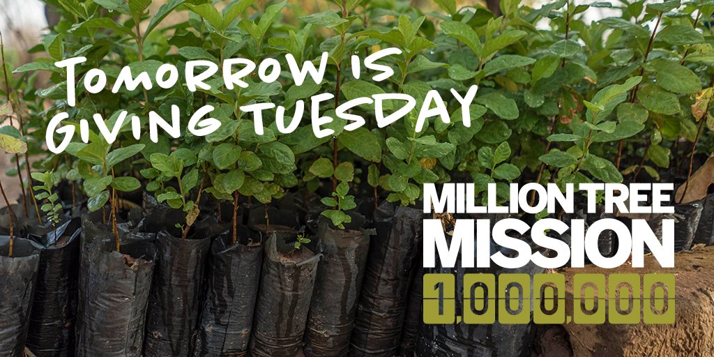 herffjones's tweet image. No big plans for Giving Tuesday? Why not help us reach our goal of giving 1 million trees back to planet Earth. 

For every frame sold we plant a tree in Africa. Help us get to one million trees. 

#MillionTreeMission #OneMillionTrees #TreesForTheFuture #TreesForAfrica