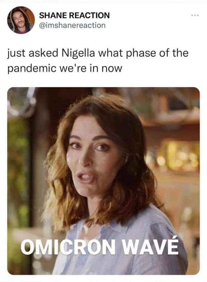 KitGraham18's tweet photo. @Nigella_Lawson .. if we don’t laugh, we’ll cry, here’s hoping everything calms down but until then … https://t.co/Y2kkwas5vo
