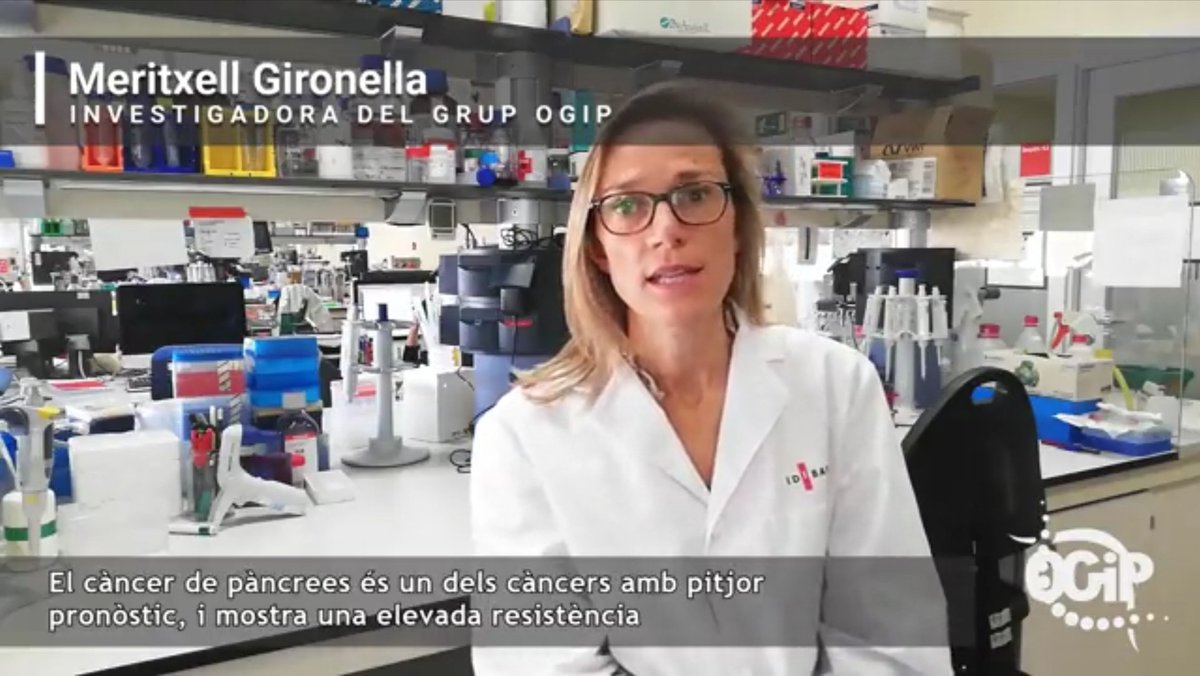 Laia Bonjoch tweet media