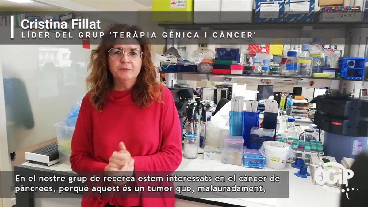 Laia Bonjoch tweet media