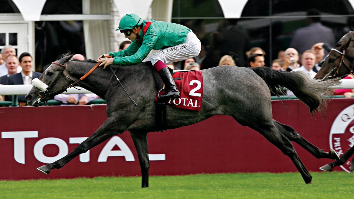 AgaKhanStuds's tweet photo. 🔎 Spotlight on @InfoArqana...
Lot 70 is #Rosanara, winner of the Gr.1 Prix Marcel Boussac as a 2yo and Classic-placed at 3 in the Prix de Diane. The grey mare is dam of 3 winners to date, inc #Rosala, and in foal to Persian King.
👀 See her pedigree ➡️ https://t.co/9TdAgBJRSa https://t.co/mJYsyd9Iys