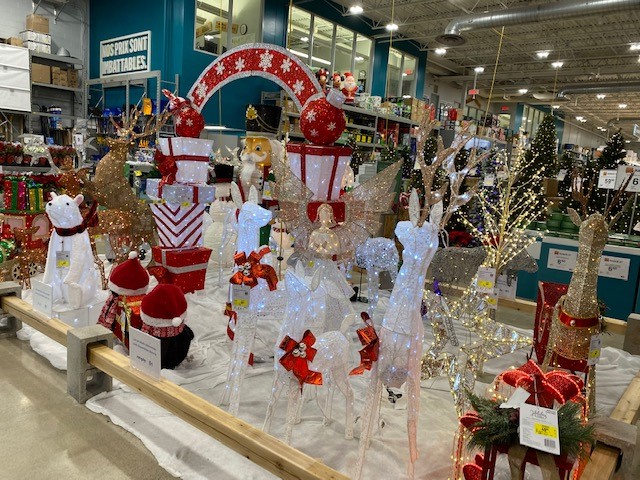 Tony Cioffi tweet media