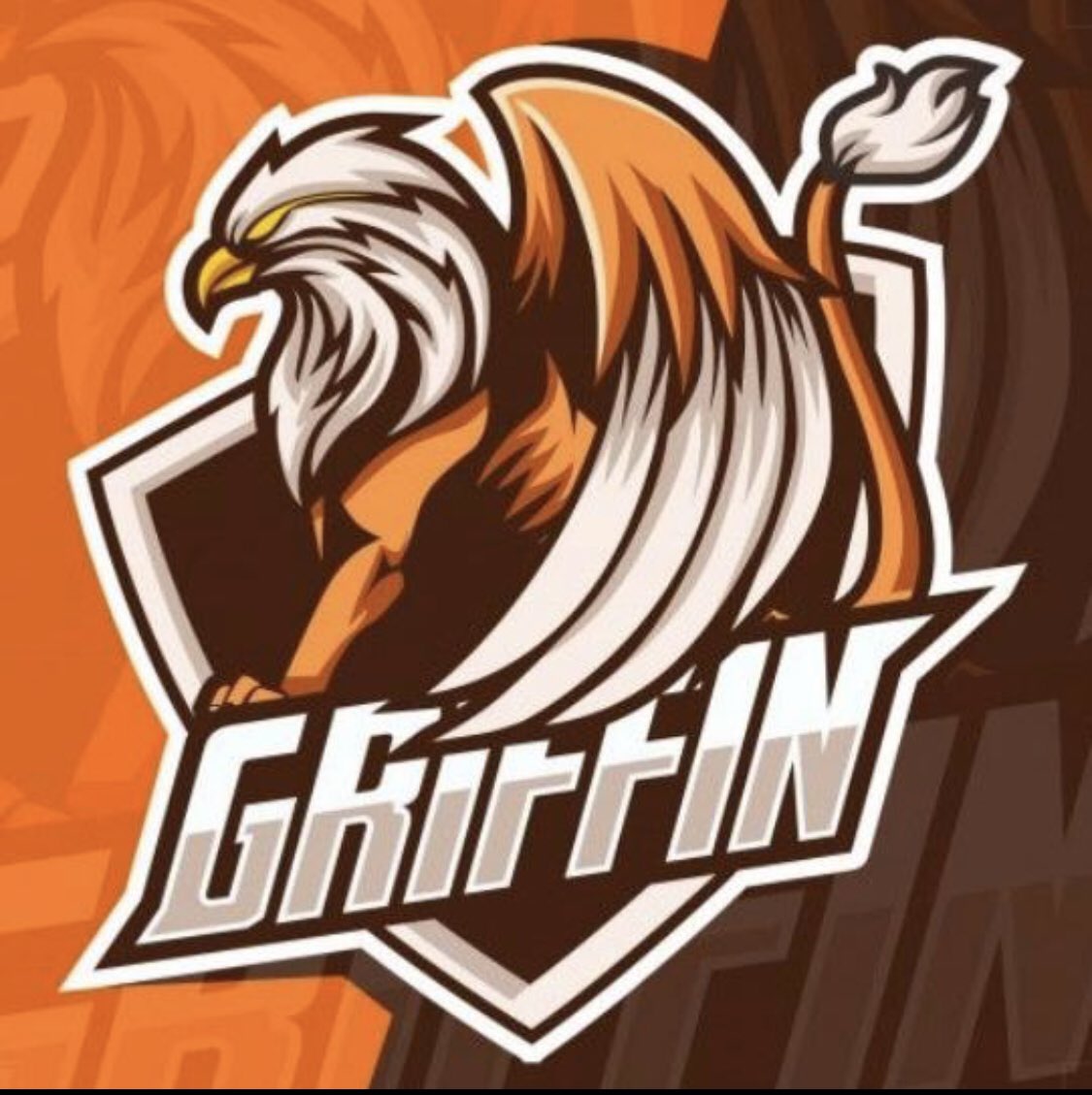 GriffinFc1's tweet photo. @PlayersHous @_RDdes Griffin https://t.co/o1yB9ZECnN