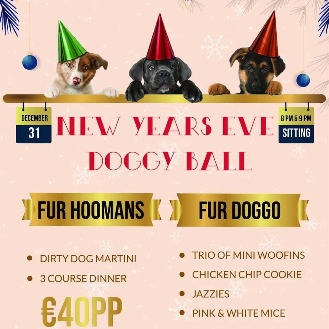 Doggy New Years Eve Ball anyone?
#doggyball eventbrite.com/e/doggy-new-ye…
