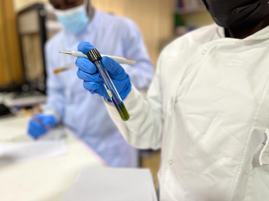 Harry Akligoh (@harryakligoh) on Twitter photo The surge of #AMR, a silent global pandemic can only be overcome with continuous training and the use of novel tools and technologies like #AI. My team and I continued this training effort this weekend as part of <a href="/MicrobioSoc/">Microbiology Society</a> and <a href="/JustOneGiantLab/">JOGL</a> funding support in Kumasi. The surge of #AMR, a silent global pandemic can only be overcome with continuous training and the use of novel tools and technologies like #AI. My team and I continued this training effort this weekend as part of <a href="/MicrobioSoc/">Microbiology Society</a> and <a href="/JustOneGiantLab/">JOGL</a> funding support in Kumasi.