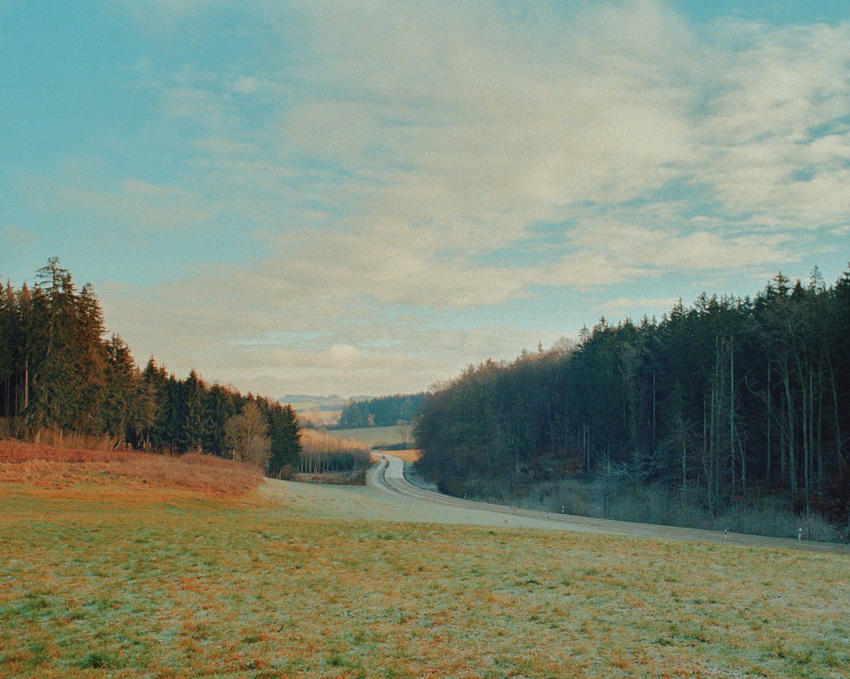analoguevibez's tweet photo. film photos i took during 2020 https://t.co/9dCvYkjE7S