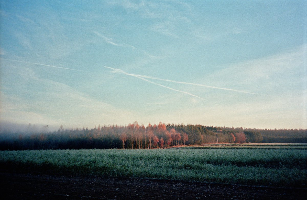 analoguevibez's tweet photo. film photos i took during 2020 https://t.co/9dCvYkjE7S