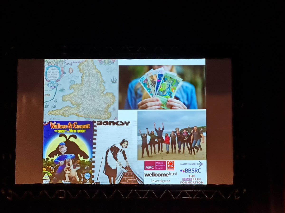 Wonderful talk from Paul Martin showing some of interesting things we can do fish and fly models in understanding wound healing and I think we should all adopt this acknowledgements format.