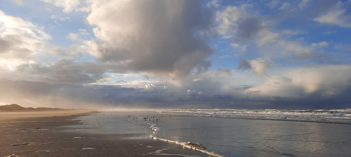 #shareyourterschelling met zijn eindeloze wolkenluchten. <a href="/terschellingvvv/">VVV Terschelling</a> <a href="/helgavanleur/">Helga van Leur ☀</a> <a href="/waddengoud/">Waddengoud</a> <a href="/WerelderfgoedWZ/">Waddenzee Werelderfgoed</a> .