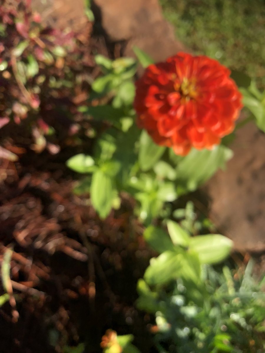 Good Morning from 2nd grade <a href="/HolbrookCFISD/">Holbrook Elementary</a>!!! It’s a beautiful, chilly morning! <a href="/rlmendez1/">BeckyMendez</a> <a href="/readygrowgarden/">Ready to Grow Garden</a> #itsgardenday