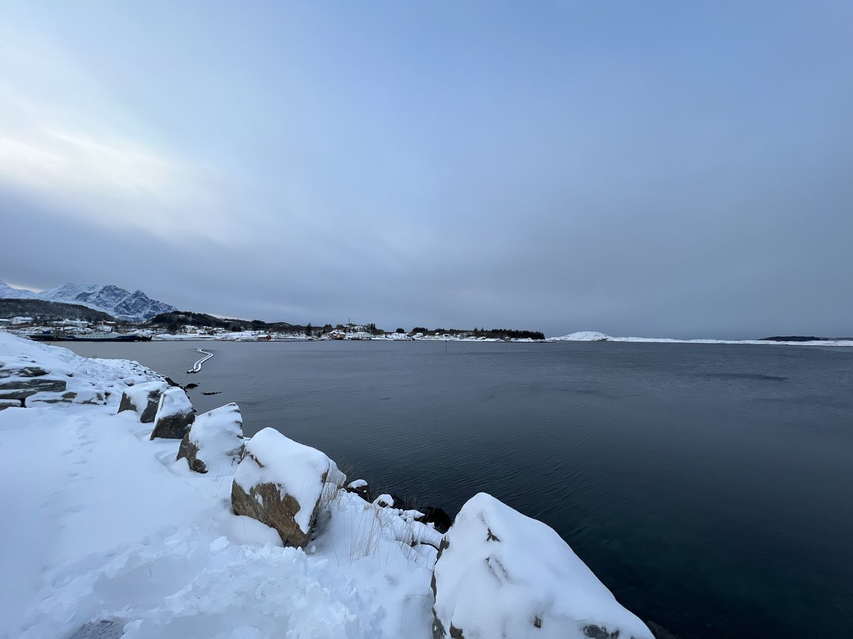 ImprovAFish (@improvafish_bb) on Twitter photo Worse places than this for a field trip! Sampling 2000 fish microbiomes in northern Norway for <a href="/ImprovAFish_BB/">ImprovAFish</a> 😍 Worse places than this for a field trip! Sampling 2000 fish microbiomes in northern Norway for <a href="/ImprovAFish_BB/">ImprovAFish</a> 😍