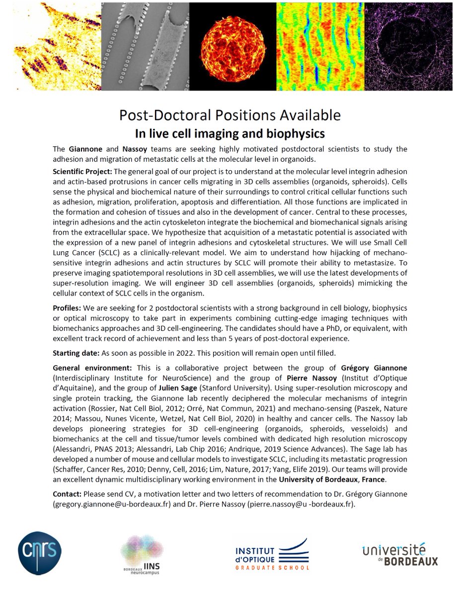 Giannone Lab (@giannonelab) on Twitter photo The <a href="/GiannoneLab/">Giannone Lab</a> and the Nassoy Lab have open positions for postdocs at the University of Bordeaux. The goal of the project is to understand at the molecular level integrin adhesions and actin protrusions in cancer cells migrating in 3D cellular assemblies: organoids, spheroids. The <a href="/GiannoneLab/">Giannone Lab</a> and the Nassoy Lab have open positions for postdocs at the University of Bordeaux. The goal of the project is to understand at the molecular level integrin adhesions and actin protrusions in cancer cells migrating in 3D cellular assemblies: organoids, spheroids.