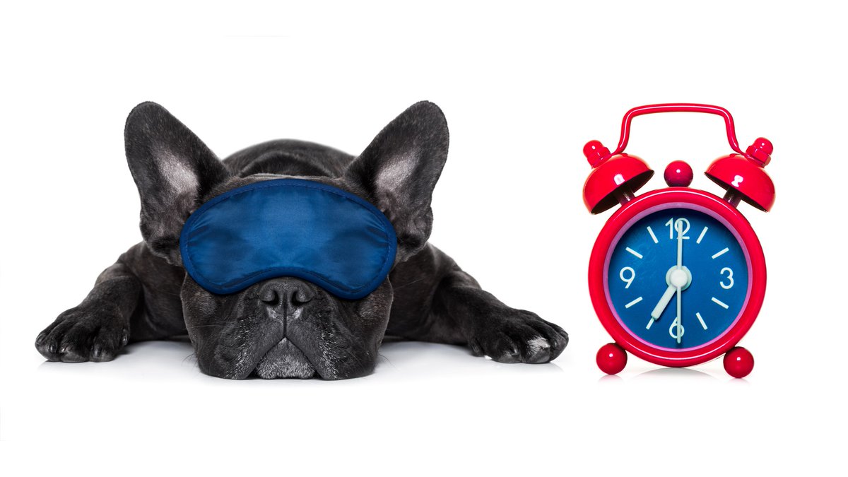 WhitridgeVoice's tweet photo. Sick of the 4:30 PM darkness yet? The devotion to tracking time is far more detailed than you may think: https://t.co/V4sXoACsSW #WhitridgeVoice #Timekeeping #WinterBlues #JobSearch #MAjobs #Recruiting https://t.co/S1nnJ8zGvZ