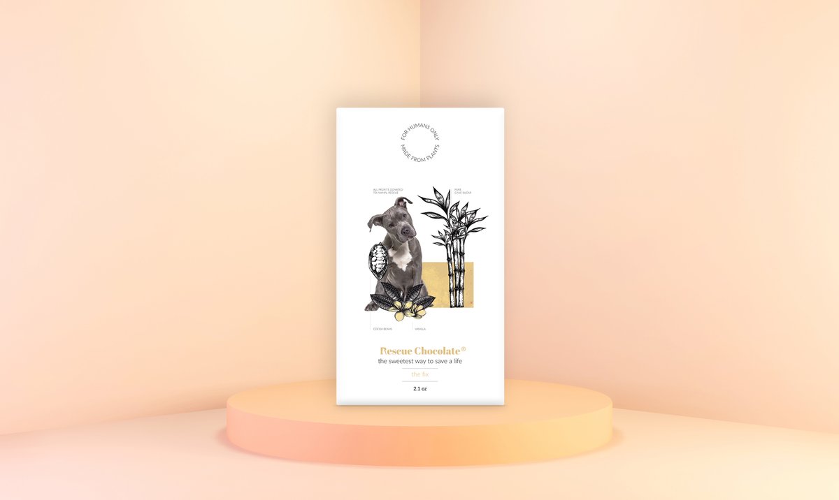 rescuechocolate's tweet photo. It's Cyber Monday-- Grab Our Last Deal! - https://t.co/X5vuZoTGTd https://t.co/57bxNjMWy8