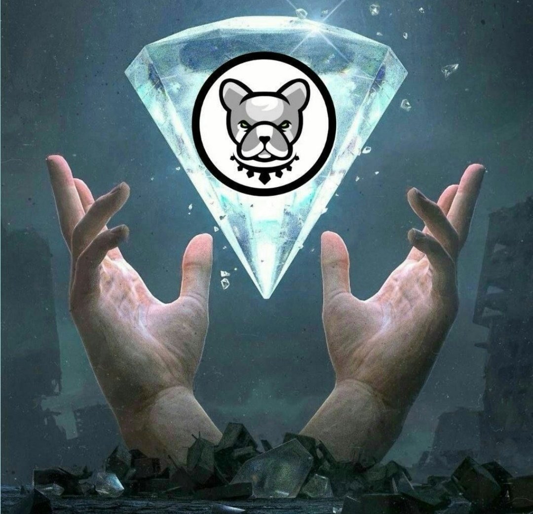 jakub_roz's tweet photo. @CoinTigerEX @BscPitbull @BscPitbull 🚀🚀🚀 https://t.co/uwXV57rec4