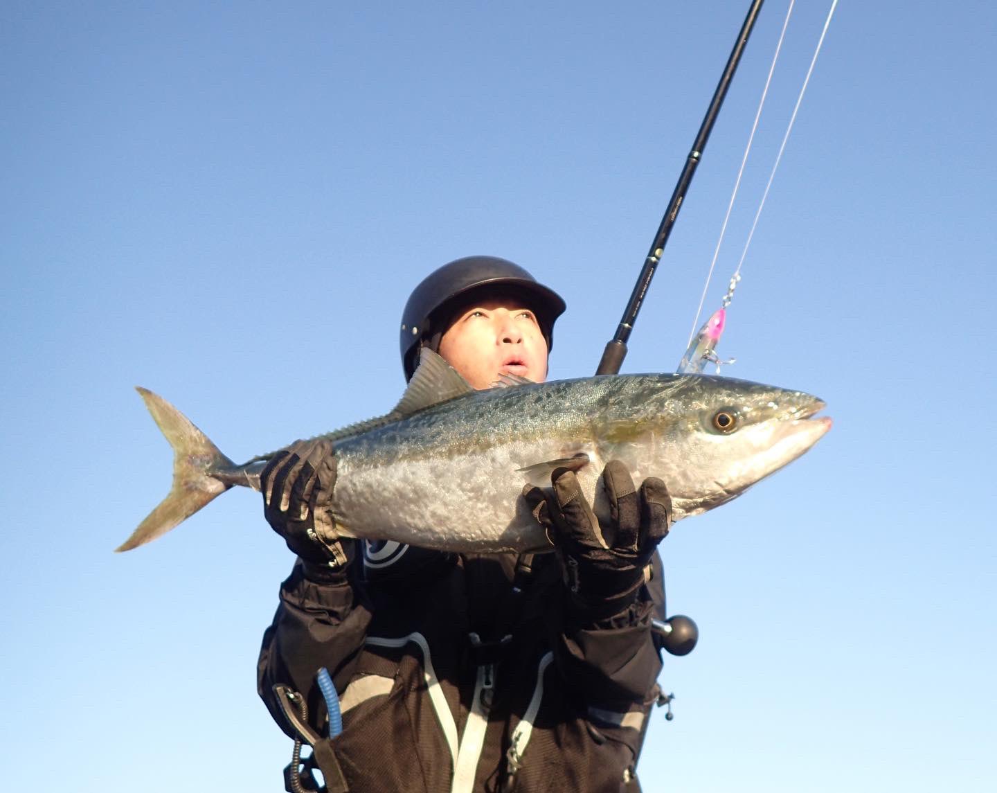 Rockyshore Twitter Search Twitter