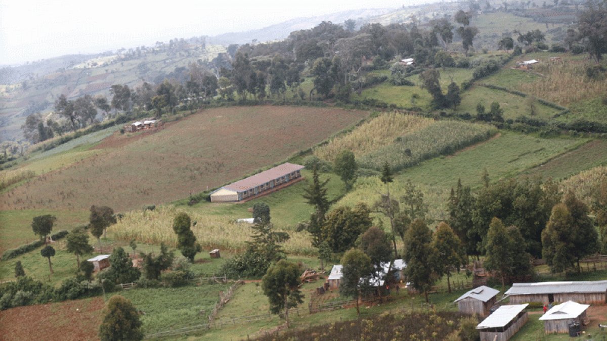 NETFUNDkenya's tweet photo. @NETFUNDkenya will tomorrow Nov 30,2021 host a private sector round table meeting in @NarokCountyGov1 to harness the goodwill from the private sector players to support conservation of 2 Forest blocks within the Maasai Mau Forest Complex towards attainment of #10percenttreecover https://t.co/m30U0Plo3O