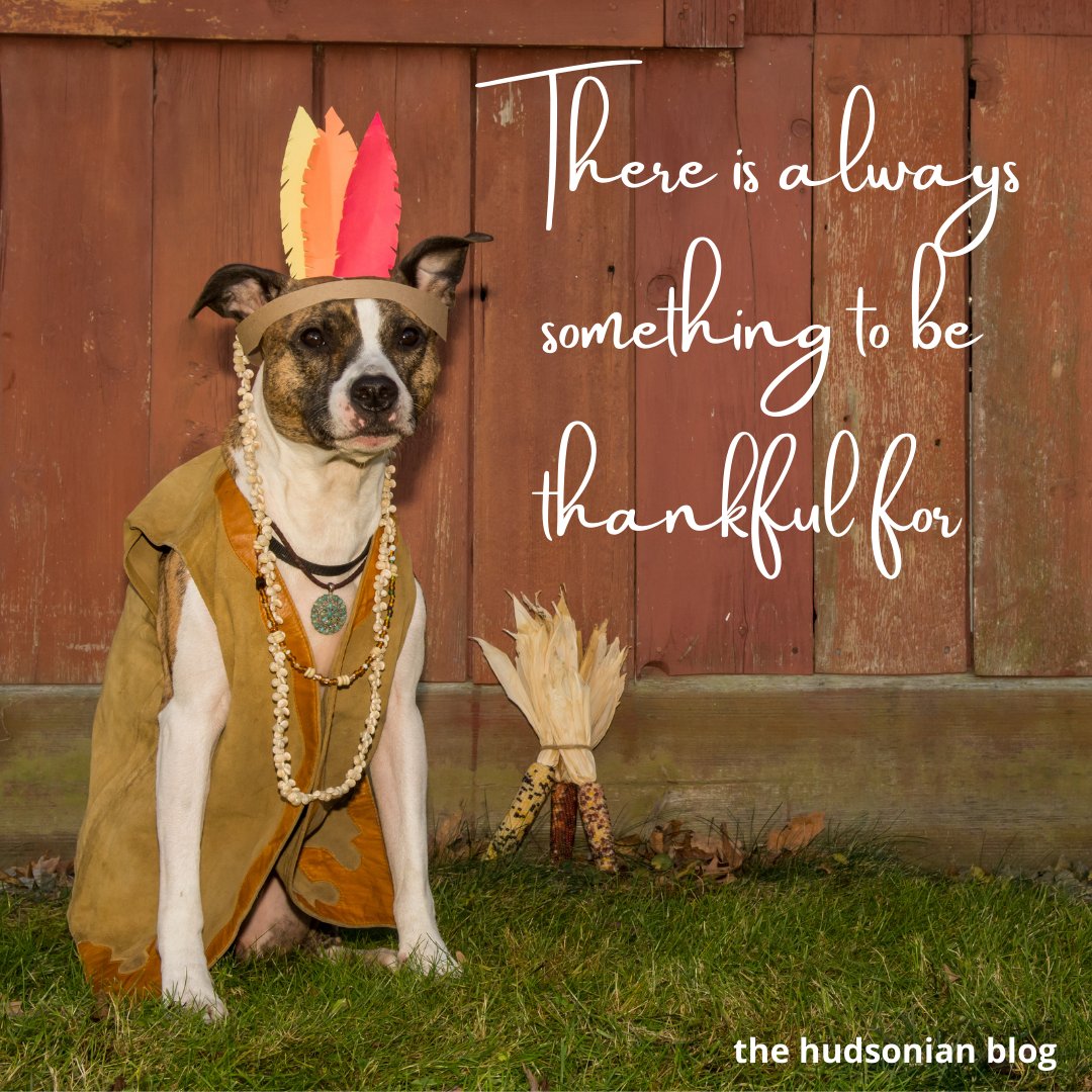 HudsonianThe's tweet photo. "There is always something to be thankful for" - the hudsonian blog WoW 138 #words #wordsofwisdom #wordstoliveby #quotes #wisdom #wisdomquotes #quoteoftheday #life #inspiration #inspirationalquotes #monthofthankfulness #thehudsonianblog #thankful #thankfulness https://t.co/tylt3Daz2V