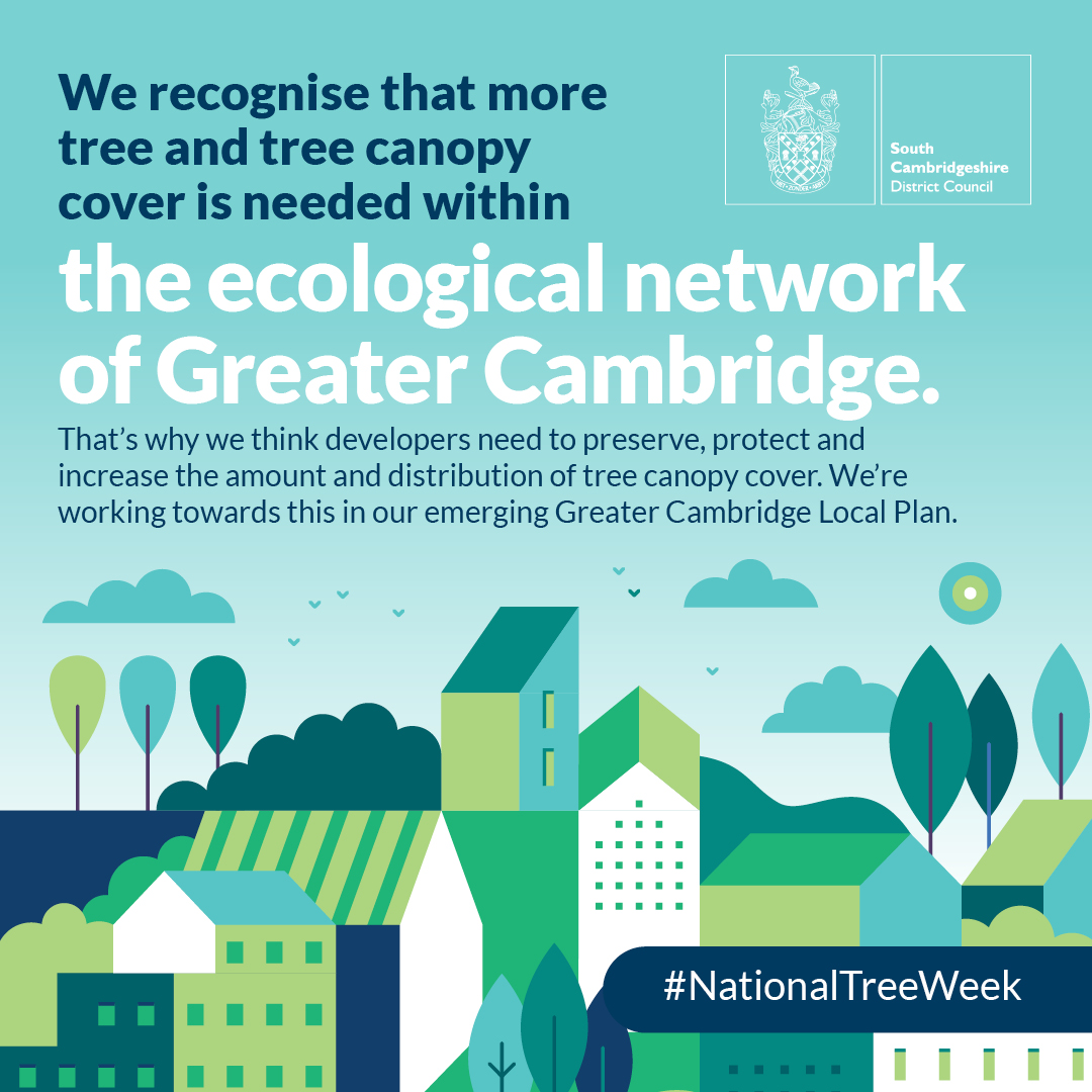 SouthCambs's tweet photo. We recognise that more tree and tree canopy cover is needed within the ecological network of Greater Cambridge

We’re working towards this in our emerging Greater Cambridge Local Plan

https://t.co/LVtZOPT9TO

#NationalTreeWeek https://t.co/RdJYsz0DoH