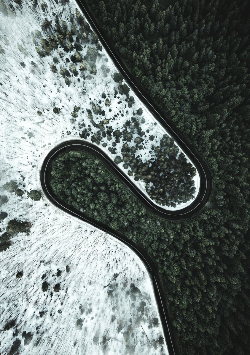 DJIGlobal's tweet photo. The battle between summer and winter - perfectly captured 8 months apart 🌳❄️

📸:Michal Sadowski https://t.co/tYJMcDBtX0