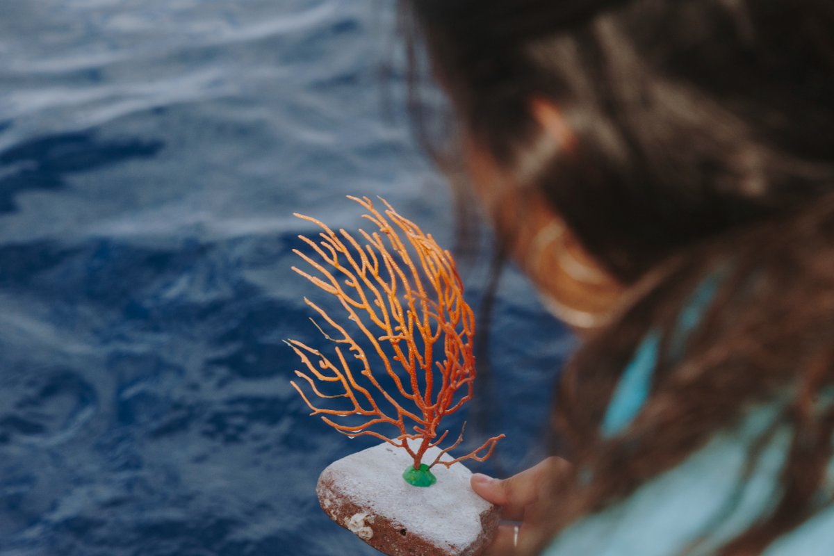 ICMCSIC's tweet photo. 🔴l #ICMNEWS l🔴
🌊 El ICM devuelve al mar más de 1000 gorgonias y aplica nuevas medidas para reducir su captura accidental en el marco de los proyectos #RESCAP y #MITICAP de @FBiodiversidad
🔗https://t.co/oBkvMUpPNn https://t.co/k2xQg3XISB