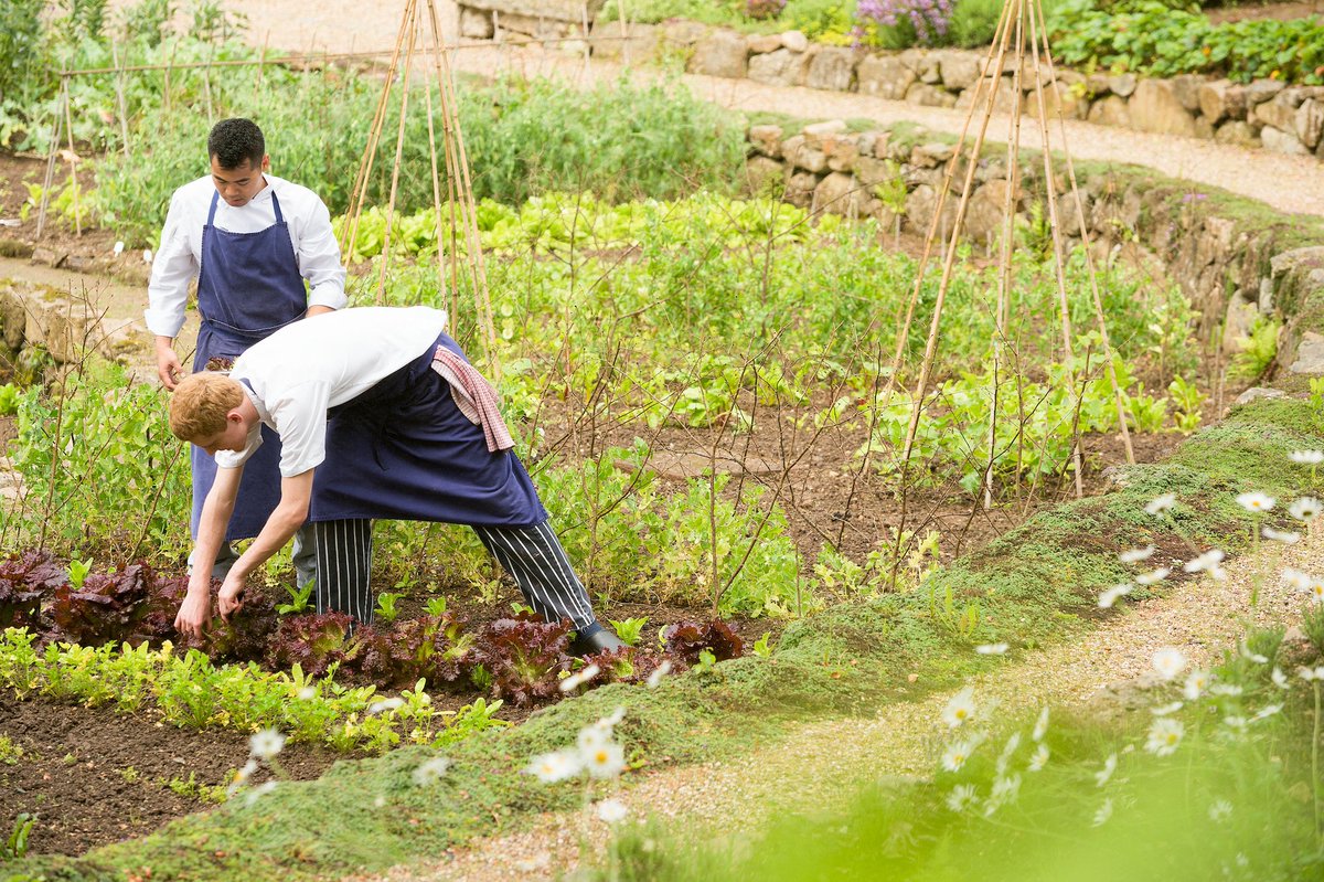 Minster Mill tweet media